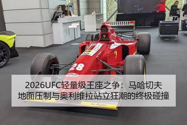 qing-liang-ji-wang-zuo-zhi-zheng-ma-ha-qie-fu-di-mian-ya-zhi-yu-ao-li-wei-la-zhan-li-kuang-chao-de-zhong-ji-peng-zhuang-2-741.jpg
